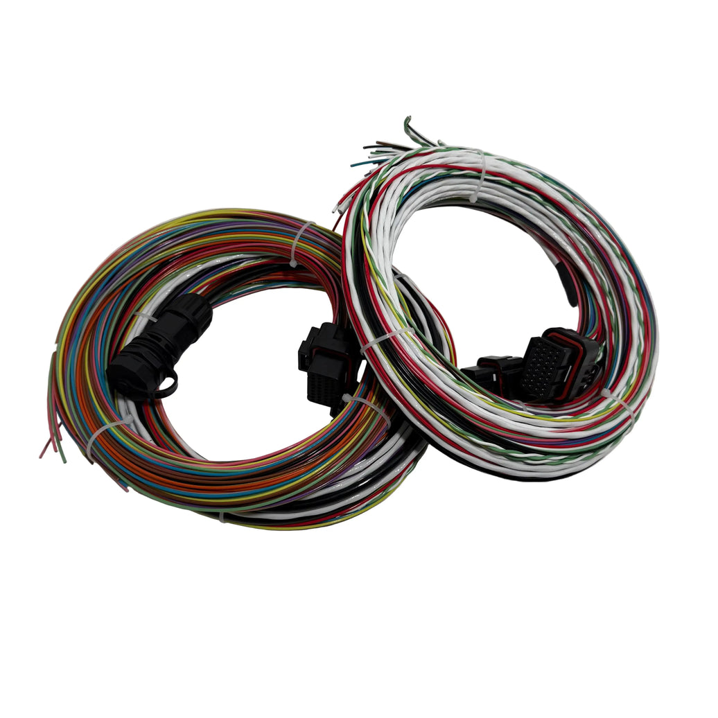 Motec M150 Flying Wiring Loom
